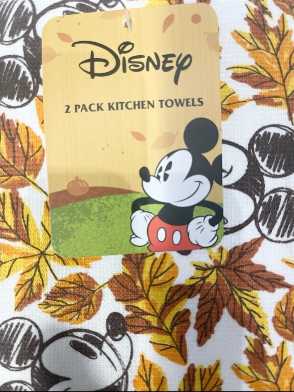 Disney mickey mouse